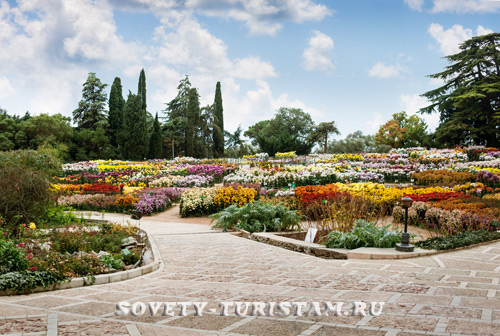 Никитский ботанический сад Крым