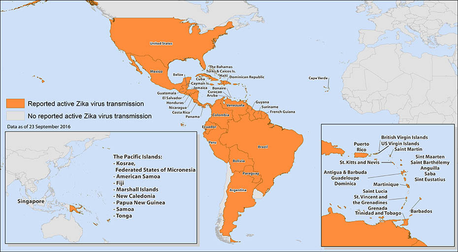 карта лихорадка  Зика Центральная и Южная Америки